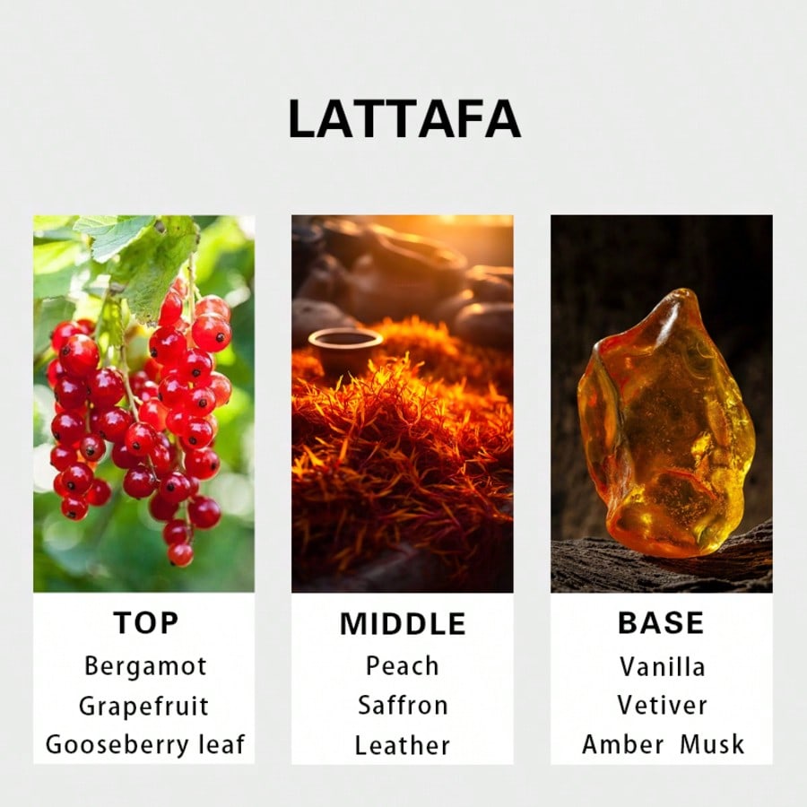 Hayaati Gold Elixir Masculino  - Fragrance Perfume Spray avaliação e preço