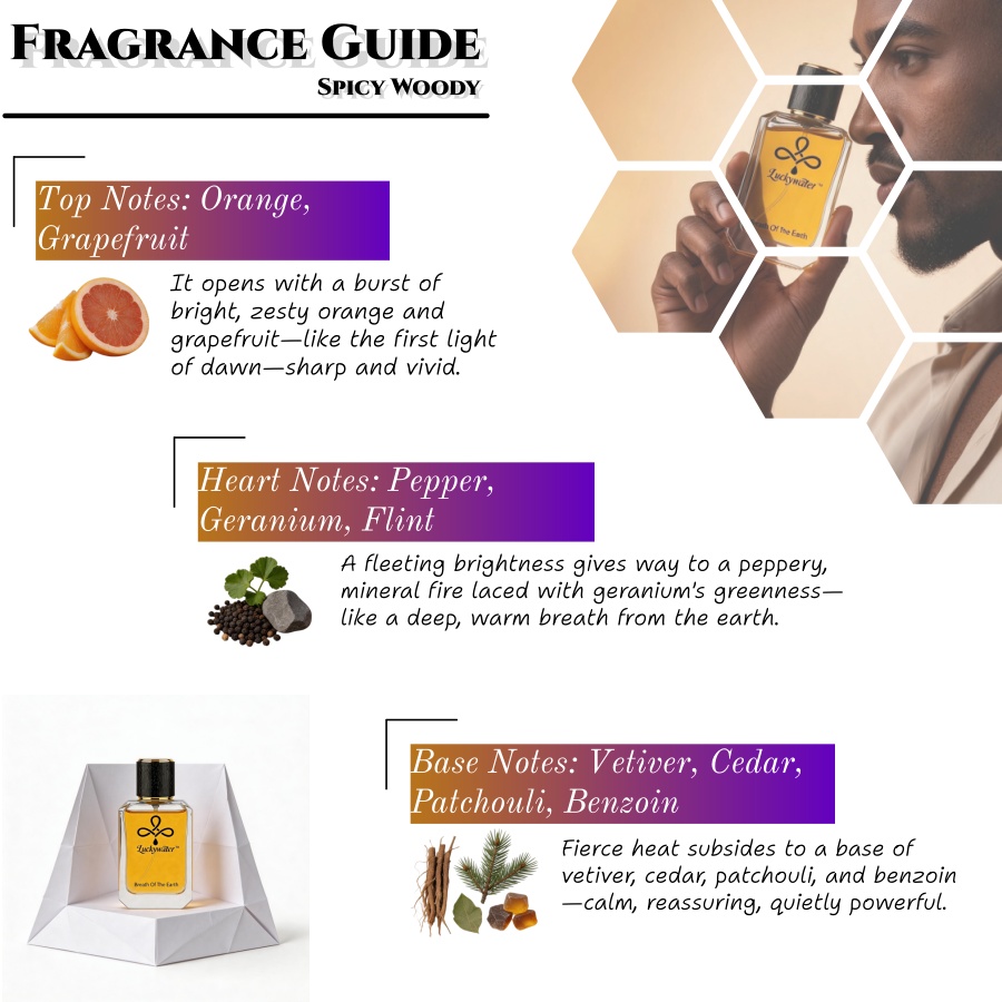 Colônia Masculina Premium de L - Fragrance Perfume Spray avaliação e preço